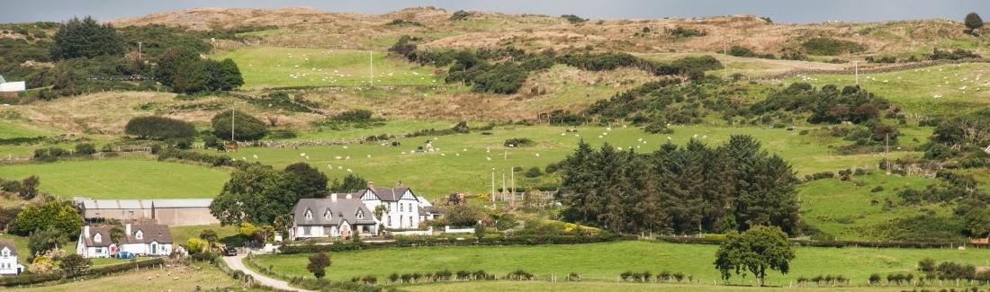 Climate-Action-Plan-2021-2.79f6fea36b06008c5648ae2109adbb36 Countryside