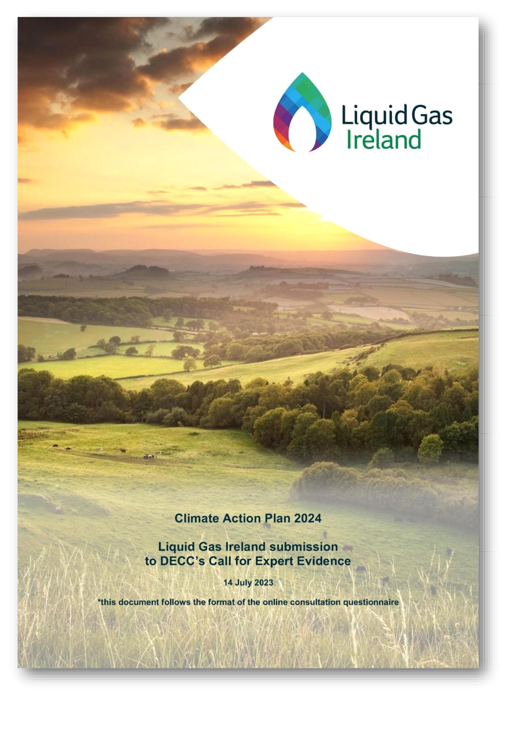 Preview image of the FINAL LGI response to CAP 2024 Call for Expert Evidence document