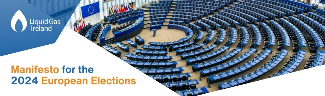 LGI Manifesto Banner for 2024 European Elections