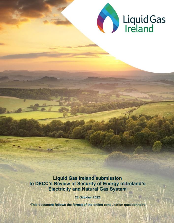 Cover page of LGI submission to DECC review of the security of energy supply