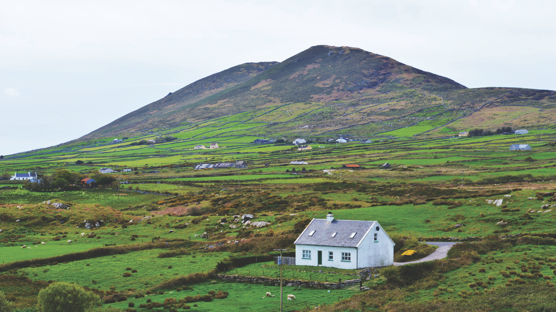 Rural Ireland must not be left behind